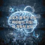 스포츠 중계가 주는 / 짜릿함의 비밀! / 뇌 과학적 분석